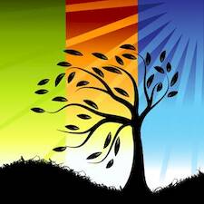 ��� ������� 